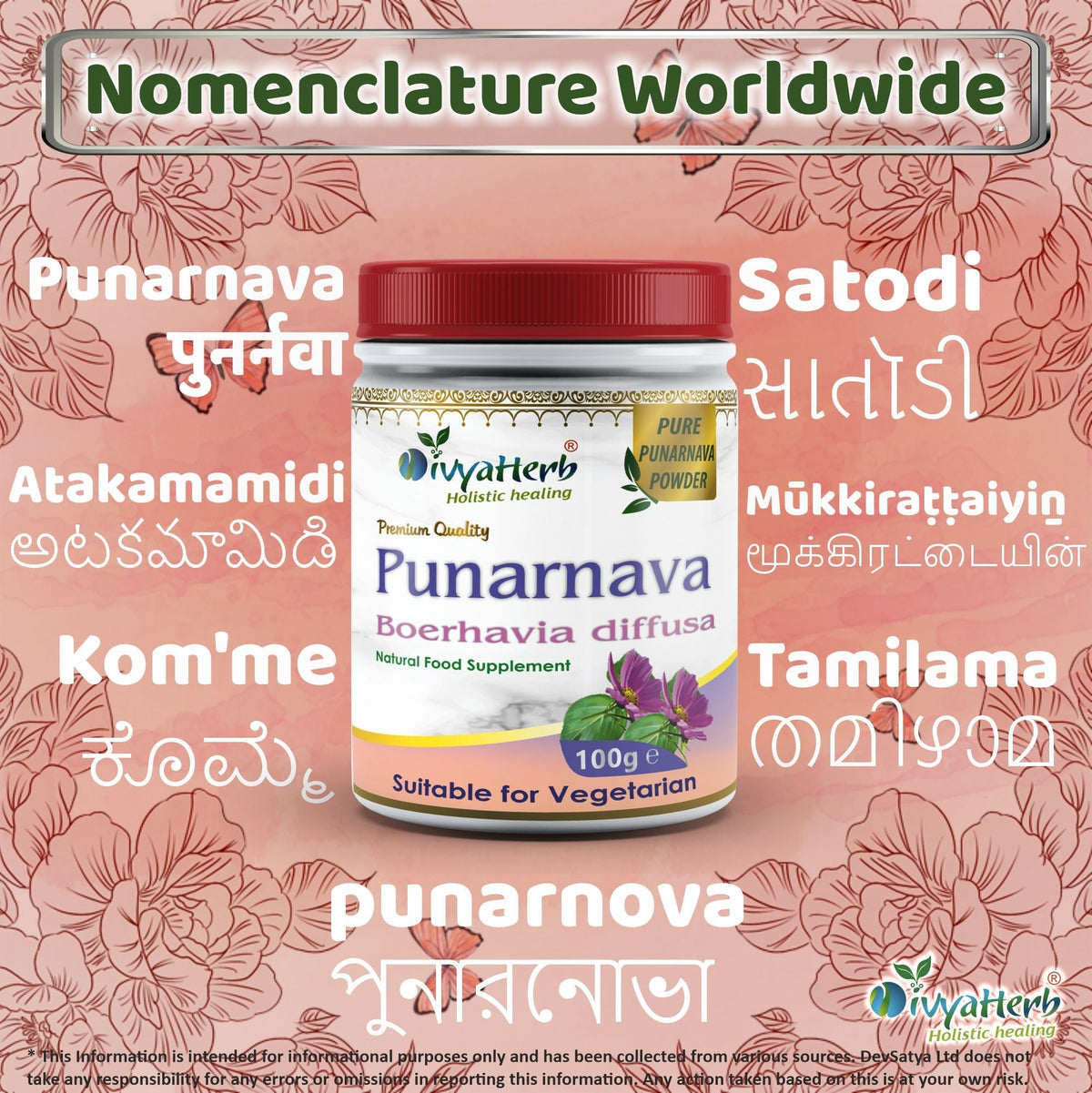 DivyaHerb Punarnava Powder 100 gram - Daily Wellness Support