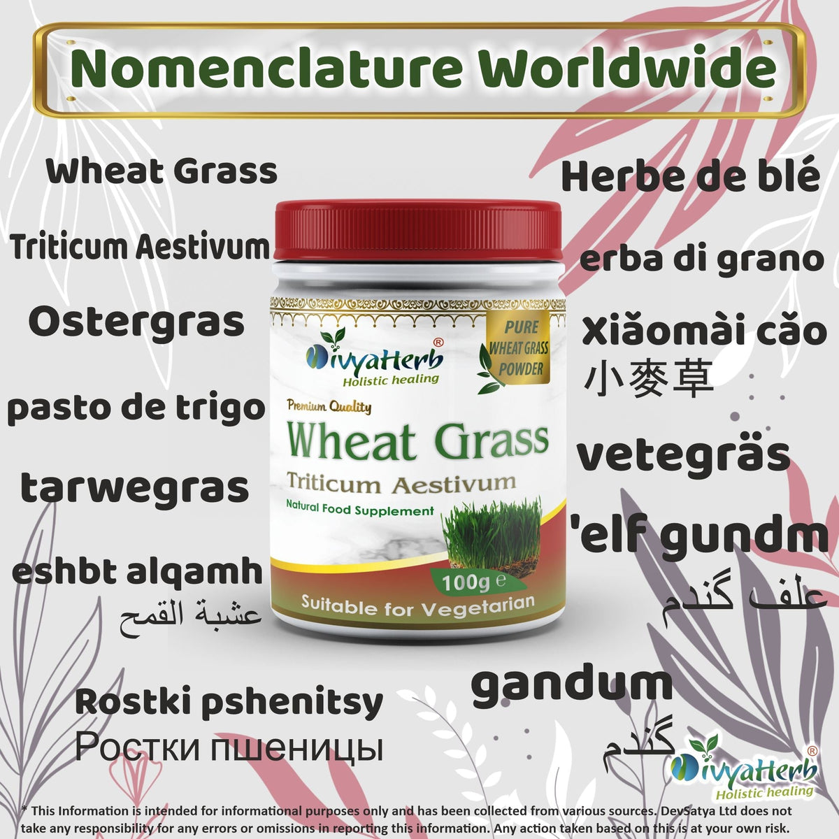 DivyaHerb Wheat Grass Powder 100 gram - Daily Vitality Support